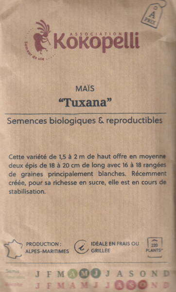 Maïs doux "Tuxana" (Blanc)